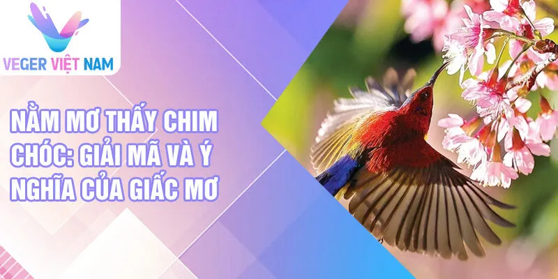 Nằm mơ thấy chim chóc: giải mã và ý nghĩa của giấc mơ