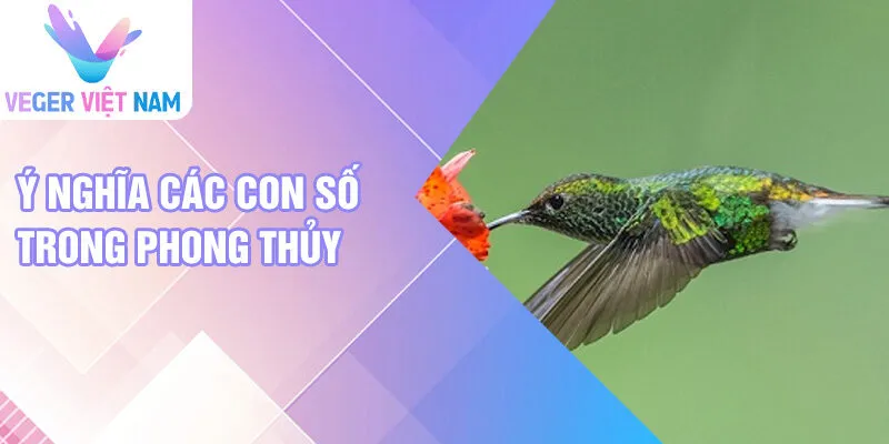 Ý nghĩa các con số trong phong thủy