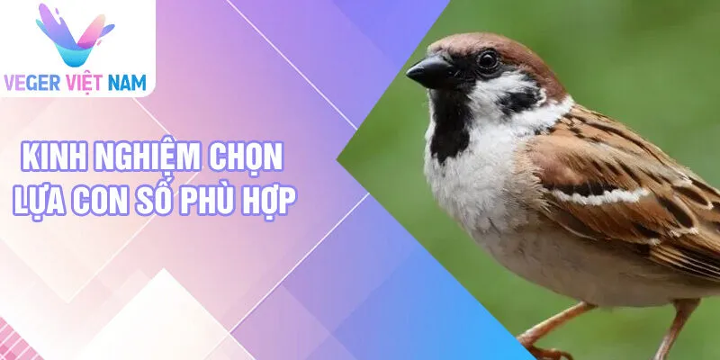 Kinh nghiệm chọn lựa con số phù hợp