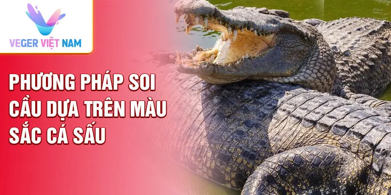 Phương pháp soi cầu dựa trên màu sắc cá sấu