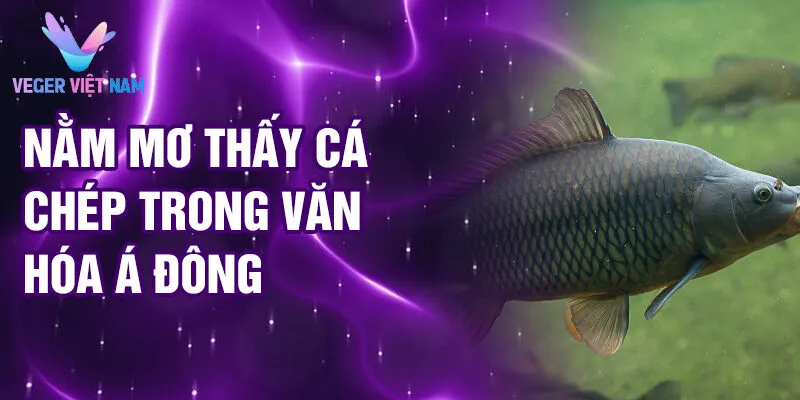 Nằm mơ thấy cá chép trong văn hóa á đông