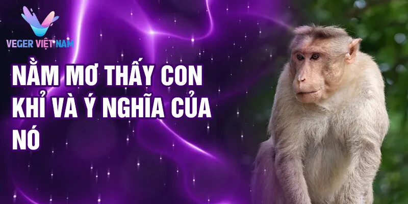 Nằm mơ thấy con khỉ và ý nghĩa của nó