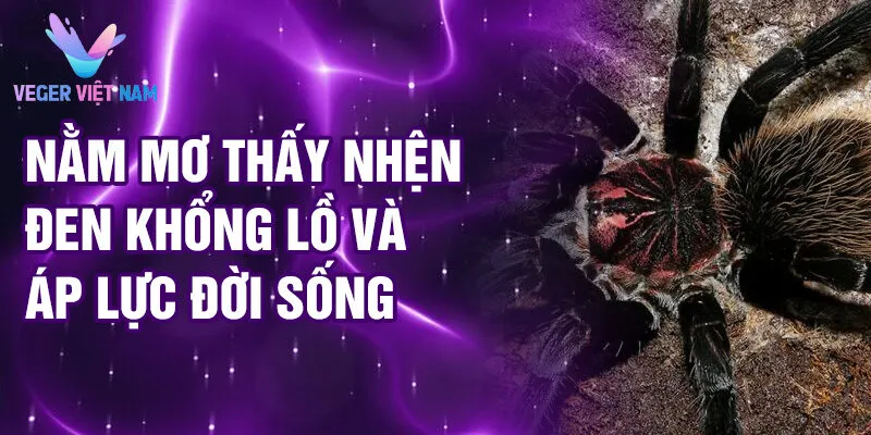 Nằm Mơ Thấy Nhện Đen: Bí Ẩn Đêm Tối Rao Truyền 2 Nằm mơ thấy nhện đen khổng lồ và áp lực đời sống