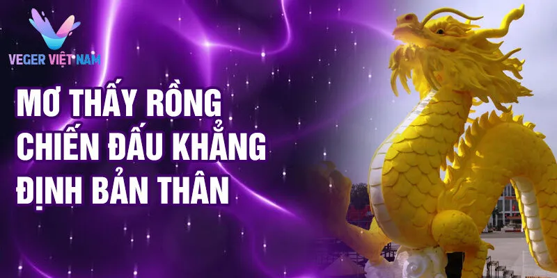 Nằm Mơ Thấy Rồng: Bí Ẩn Và Tài Lộc Đến Bất Ngờ 3 Mơ thấy rồng chiến đấu khẳng định bản thân