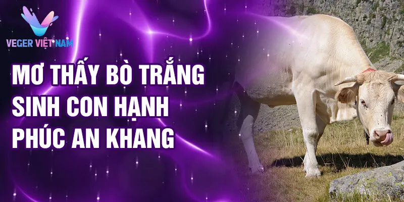 Nằm Mơ Thấy Bò Trắng: Giải Mã Ý Nghĩa & May Mắn 3 Mơ thấy bò trắng sinh con hạnh phúc an khang