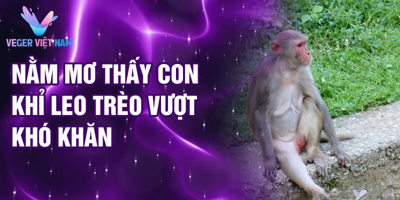 Nằm Mơ Thấy Con Khỉ: Điềm Báo Tương Lai Ra Sao 3 Nằm mơ thấy con khỉ leo trèo vượt khó khăn