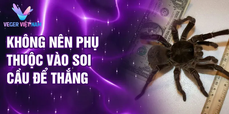 Nằm Mơ Thấy Nhện Đen: Bí Ẩn Đêm Tối Rao Truyền 4 Không nên phụ thuộc vào soi cầu để thắng