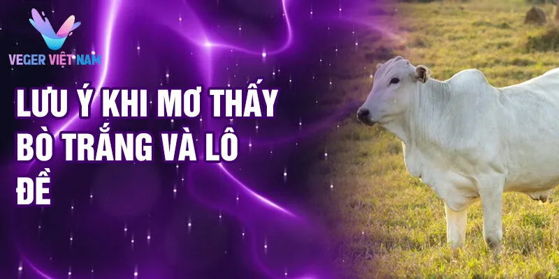 Nằm Mơ Thấy Bò Trắng: Giải Mã Ý Nghĩa & May Mắn 4 Lưu ý khi mơ thấy bò trắng và lô đề