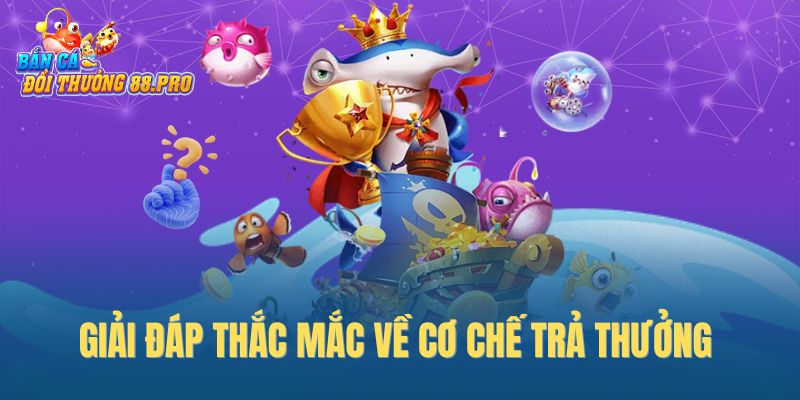 Giải đáp thắc mắc về cơ chế trả thưởng Giải đáp thắc mắc về cơ chế trả thưởng