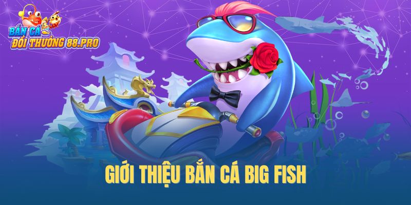 Giới thiệu bắn cá Big Fish Giới thiệu bắn cá Big Fish