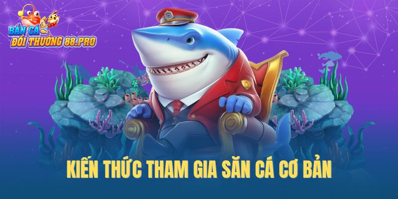 Kiến thức tham gia săn cá cơ bản Kiến thức tham gia săn cá cơ bản