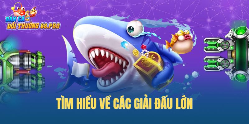 Tìm hiểu về các giải đấu lớn Tìm hiểu về các giải đấu lớn